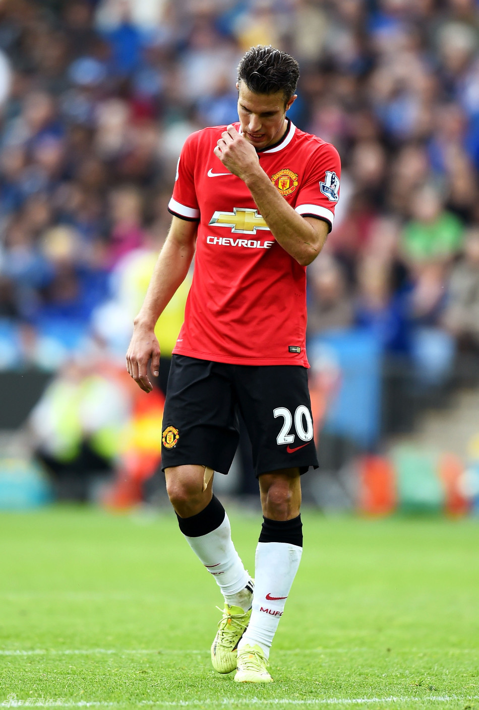 他熟悉的 他熟悉的