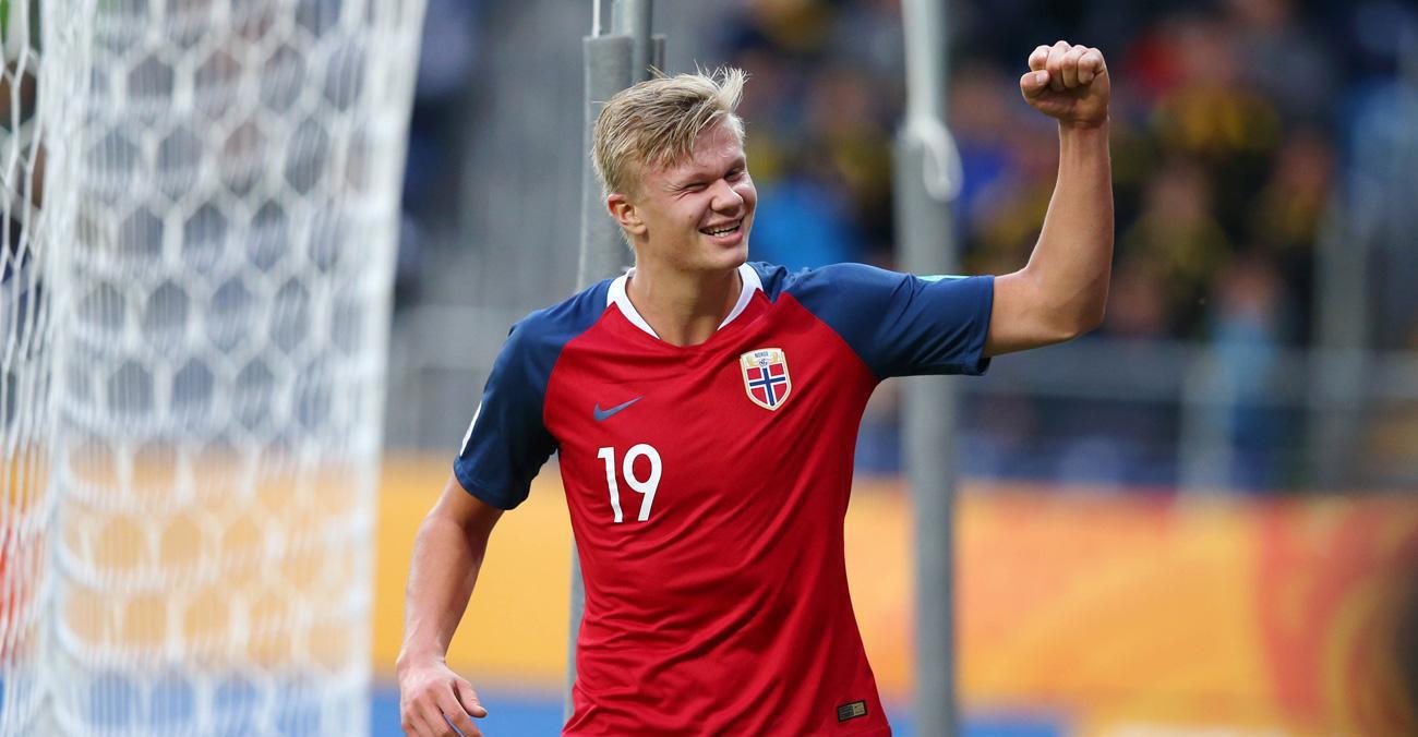 只决定是否 只决定是否